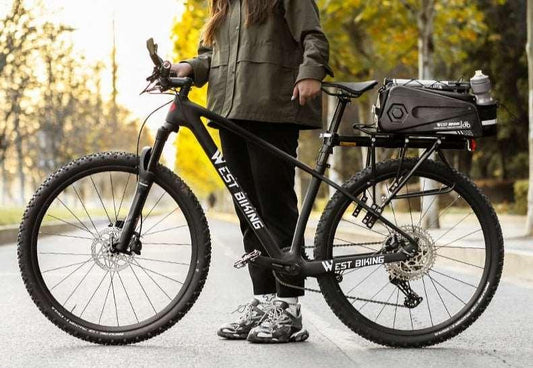 Sacoche coffre rigide 10L porte bagage arrière pour vélo