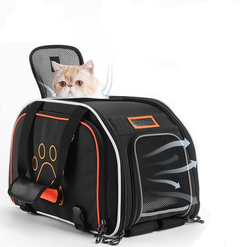 Sacoche porte bagage arrière extensible pour animaux